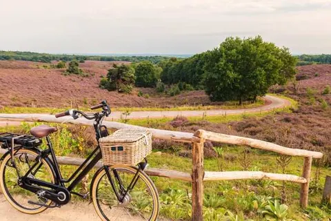 Buitenplaats de Bergse Bossen foto 24