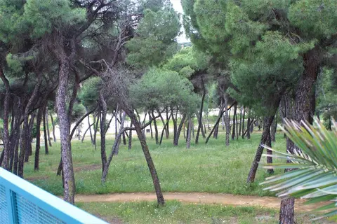 Legado Oromana Hotel in Alcalá de Guadaíra, foto 19