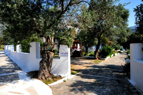 Appartementen Sunflowers in Municipal Unit of Marathokabos — foto 24