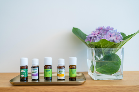 Sentido Galomar - adults only foto 25