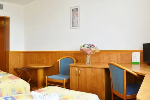 Hotel Olympik Prague in Praag — foto 22