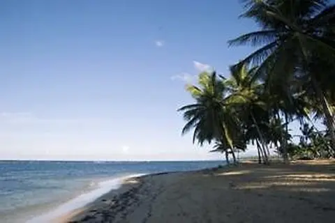 Hotel Alisei in Las Terrenas — foto 6