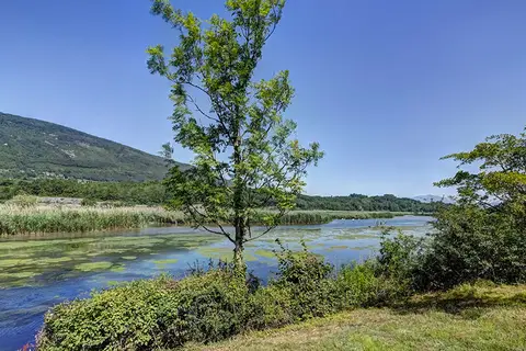 Résidence Le Village Des Oiseaux in Motz — foto 8