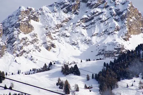 Hotel Cesa Tyrol foto 31