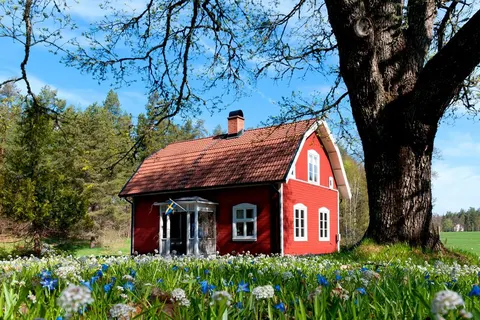 10-daagse rondreis Smaland, Stockholm & Gotland foto 5