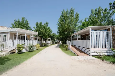 Le Mimose Family Resort foto 4