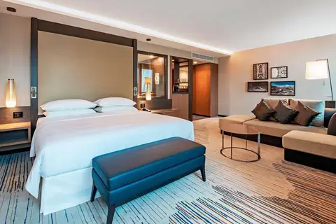 Sheraton Grand Tbilisi Metechi Palace in Tbilisi — foto 19