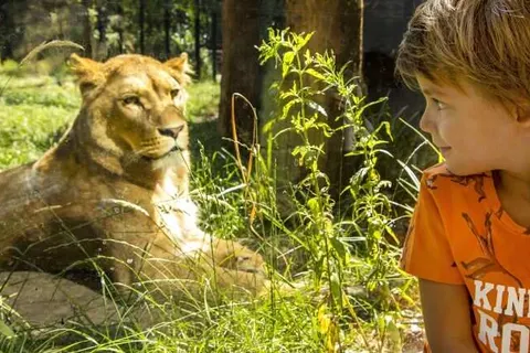 Hotel Ernst Sillem Hoeve foto 26