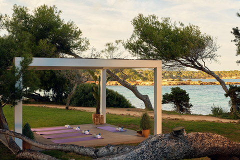 Hotel Melia Ibiza (voorheen Sol Beach House Ibiza) - adults only foto 16