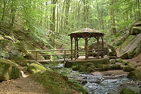 Landgasthof en Hotel Zum Schwan foto 16