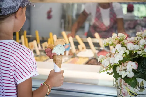 Rosapineta Happy Camp foto 5