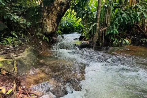 Hotel Encino in Valle De Bravo — foto 3