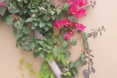 Sirocco Apartments in Chersonissos — foto 15