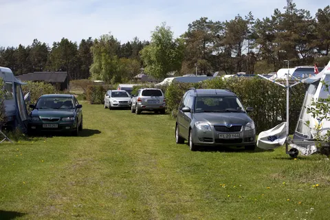Camping Rabjerg Mile foto 13