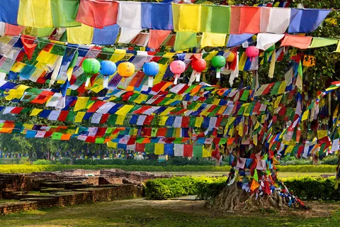 Rondreis Kleurrijk India en Nepal in Rondreizen — foto 19