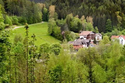 Holzschuh&ampapos;s Schwarzwaldhotel foto 34