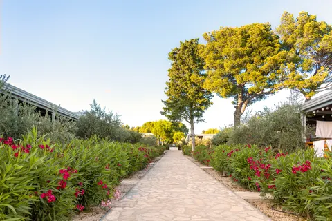 Camping Ljutić foto 7