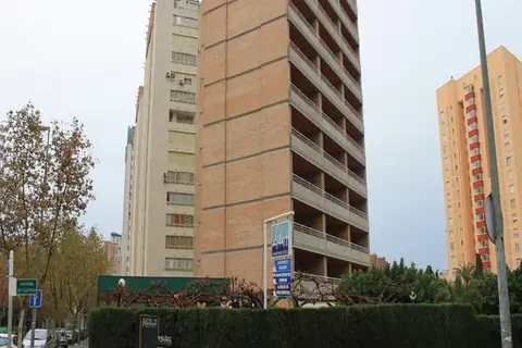 Alpha in Benidorm — foto 11