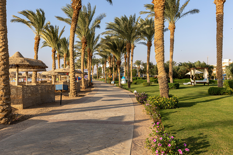 Hotel Palm Royale Soma Bay Resort foto 17