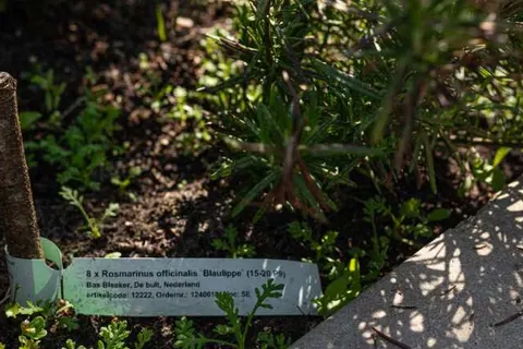 &ampapos;t Landgoed Baars foto 10