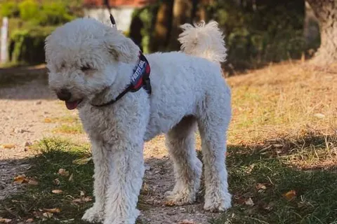 Hotel Restaurant Ruimzicht foto 18