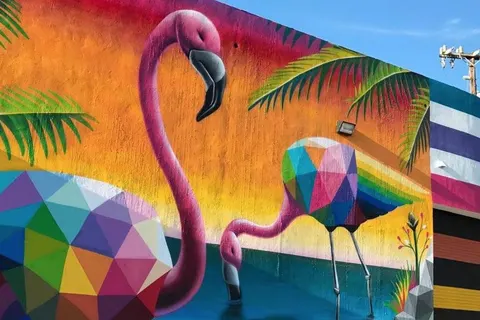 Discover Fantastic Florida foto 3