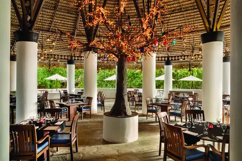 Hilton La Romana Adults Resort in San Rafael del Yuma — foto 14