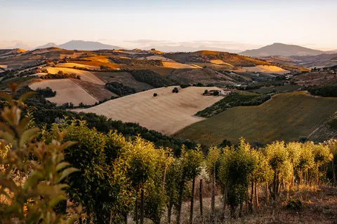 Camping Agricola La Casetta foto 13