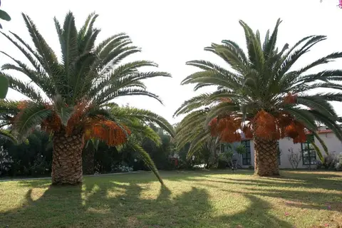 Gorgona Hotel in Δημοτική Ενότητα Γαζίου — foto 3