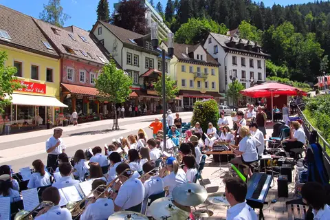 Hotel Best Western Plus Schwarzwald Residenz in Triberg — foto 8