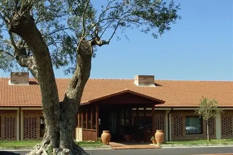 Parco Degli Ulivi in Alzachèna/Arzachena — foto 16