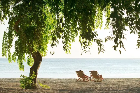 The Ravenala Attitude foto 4