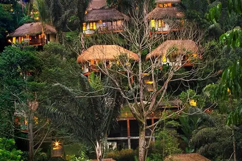Nandini Jungle by Hanging Gardens in Payangan