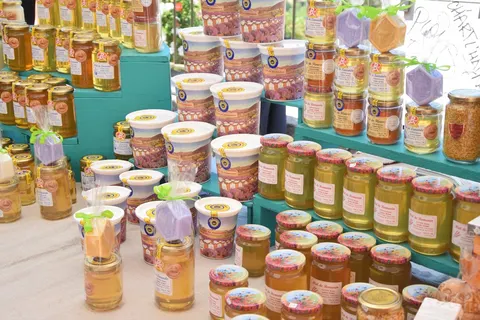 Camping La Pinatelle foto 10