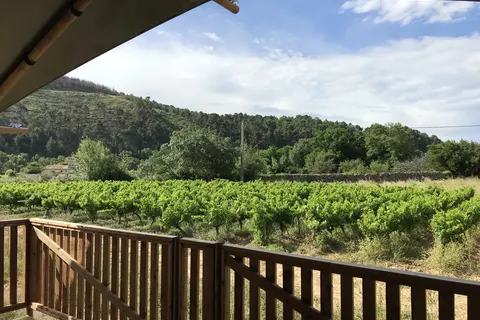 Camping De L Olivigne foto 12