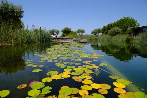 Wecamp Reserva Alecrim foto 19