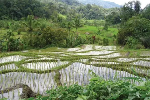 Ontdek Noord-Sumatra en relax op Bali in Jiwa Baru — foto 17