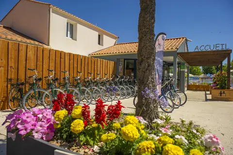 Loyada in Talmont-Saint-Hilaire — foto 23