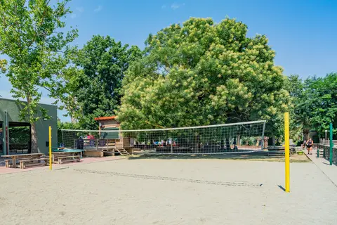 L Hippocampe in Argelès-sur-Mer — foto 11
