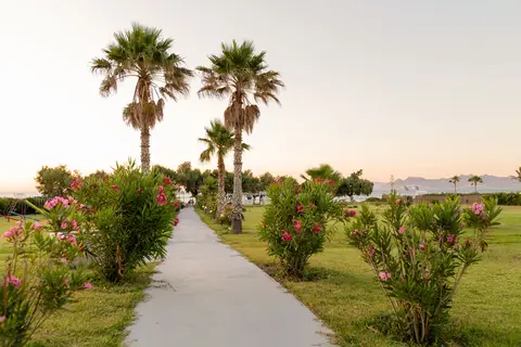 Costa Angela Seaside Resort in Lambi, foto 19
