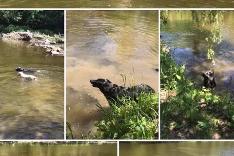 Camping Vallee De L Our foto 2