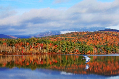 Colors of New England